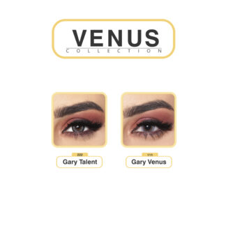 VENUS GROUP
